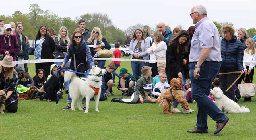 Local dog shows hot sale near me 2019